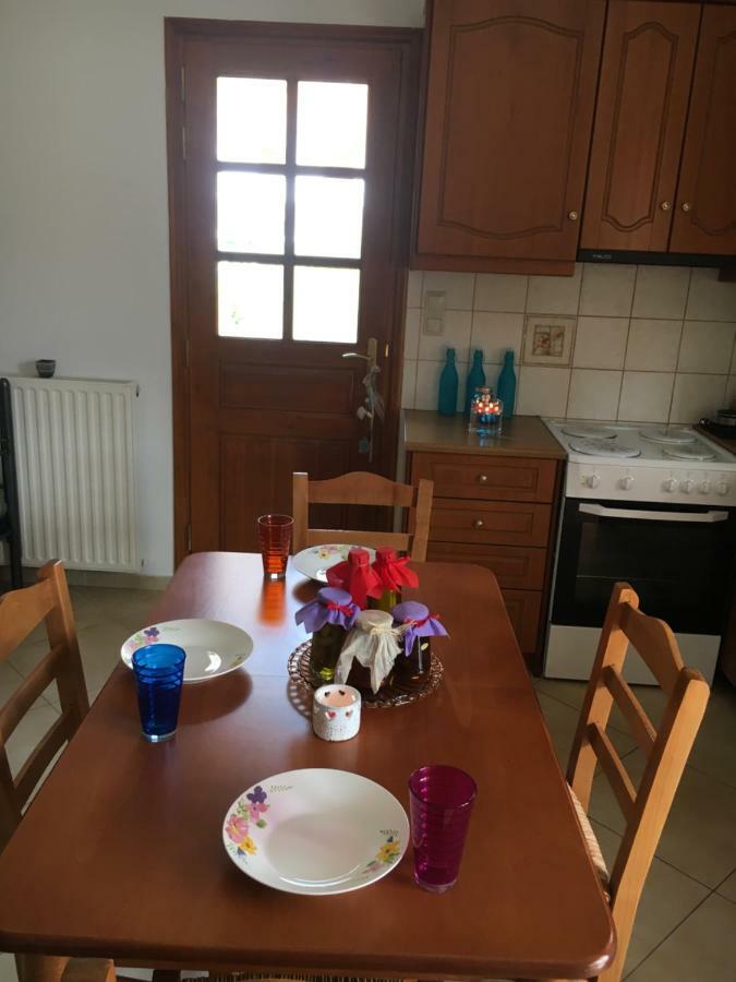 Delicatessen House Apartman Leonídio Kültér fotó